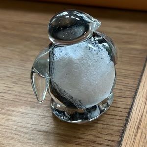 Glass Penguin